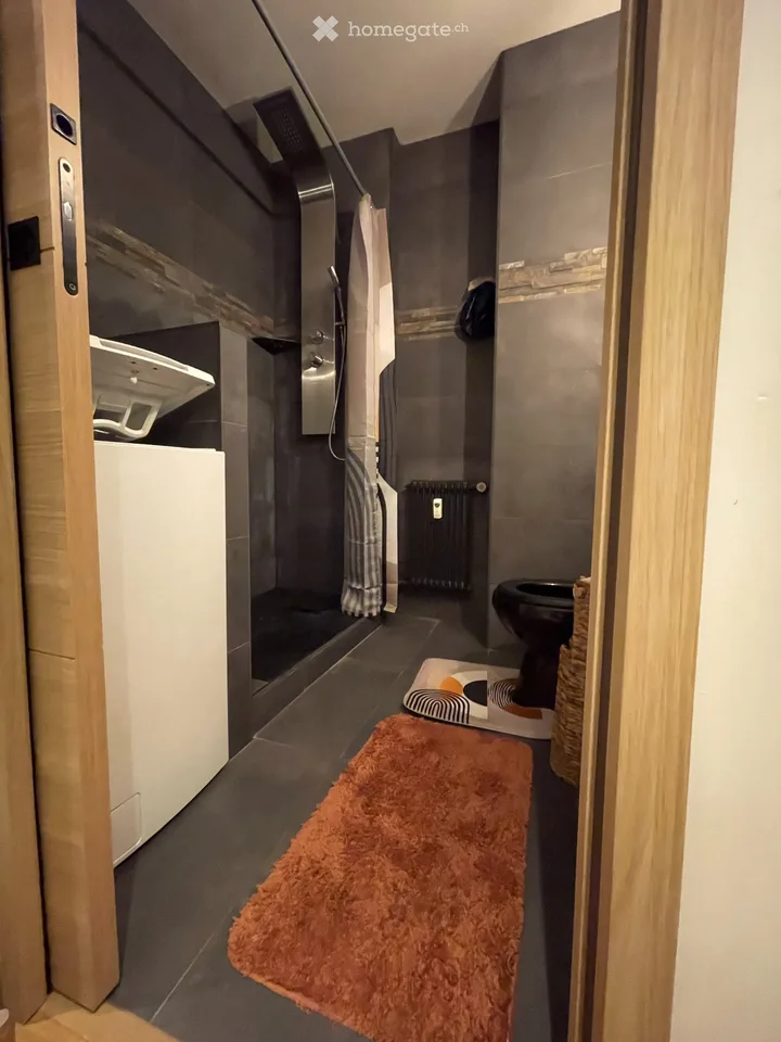 MONT-BLANC-REGION Vollständig renovierte Apartments in Sallanches