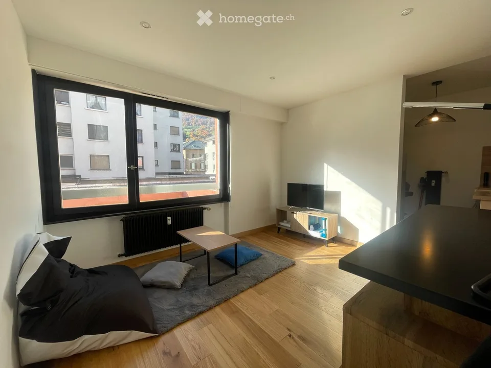 MONT-BLANC REGION  Fully Renovated ApartmentSallanches