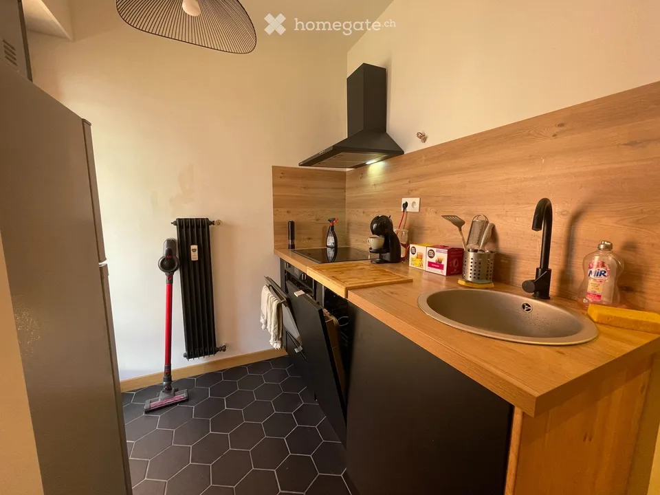 MONT-BLANC-REGION Vollständig renovierte Apartments in Sallanches