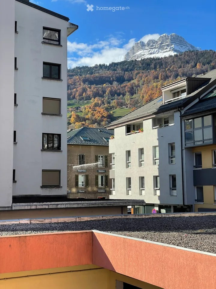 MONT-BLANC-REGION Vollständig renovierte Apartments in Sallanches