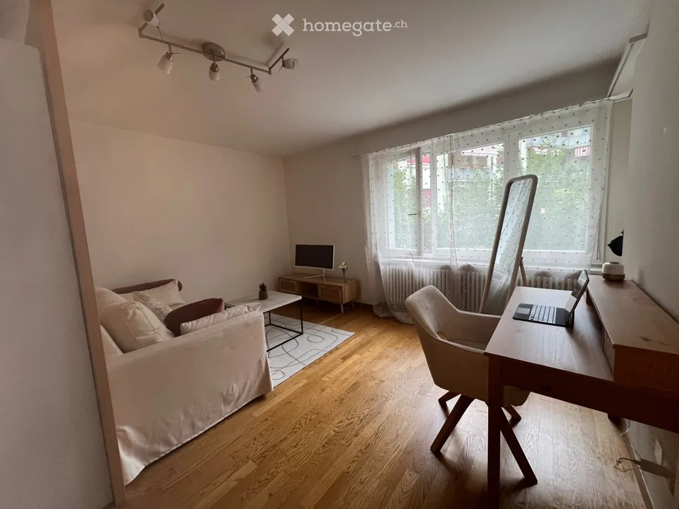 Charming 1.5-Room appartment with Terrace in Zurich Oerlikon