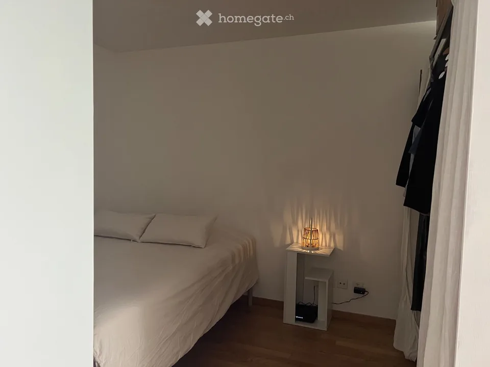Charming 1.5-Room appartment with Terrace in Zurich Oerlikon
