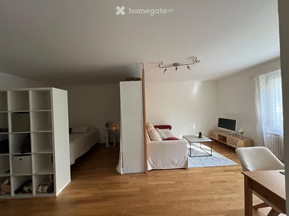 Charming 1.5-Room appartment with Terrace in Zurich Oerlikon