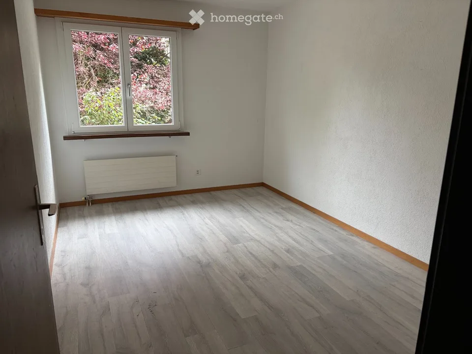 Schöne, grosse 4,5 Zimmerwohnung mit Blick ins Grüne
