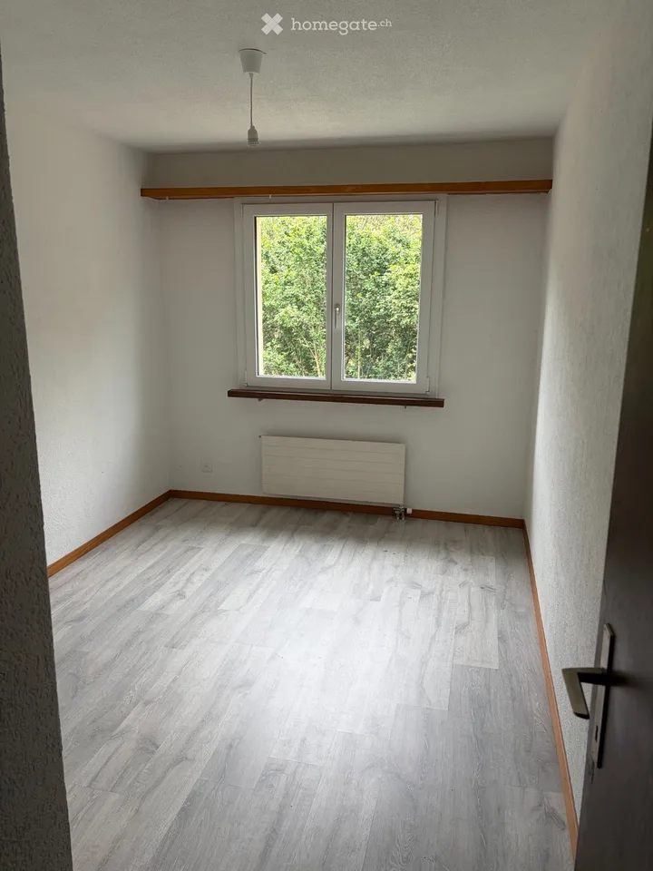 Schöne, grosse 4,5 Zimmerwohnung mit Blick ins Grüne