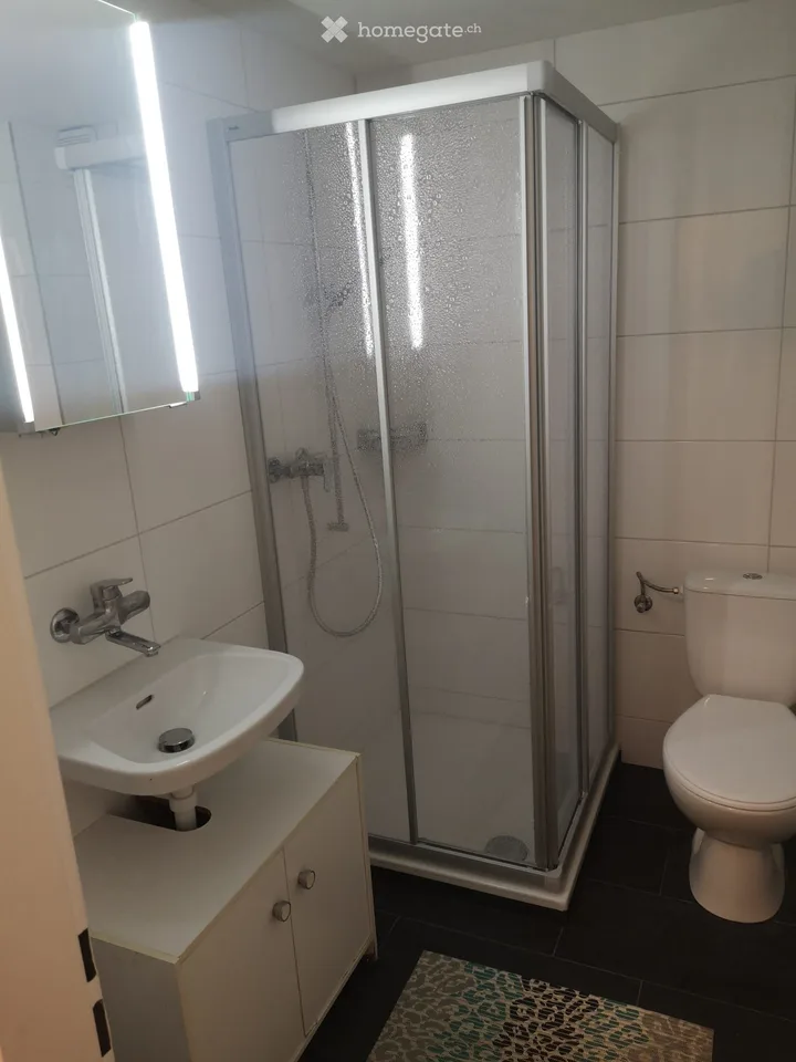 2 Zimmer-Wohnung im 1. Stock