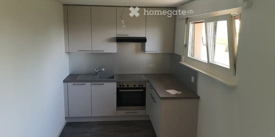 Schönes 2,5-Zimmer-Apartment - hübsche Aussicht auf den See