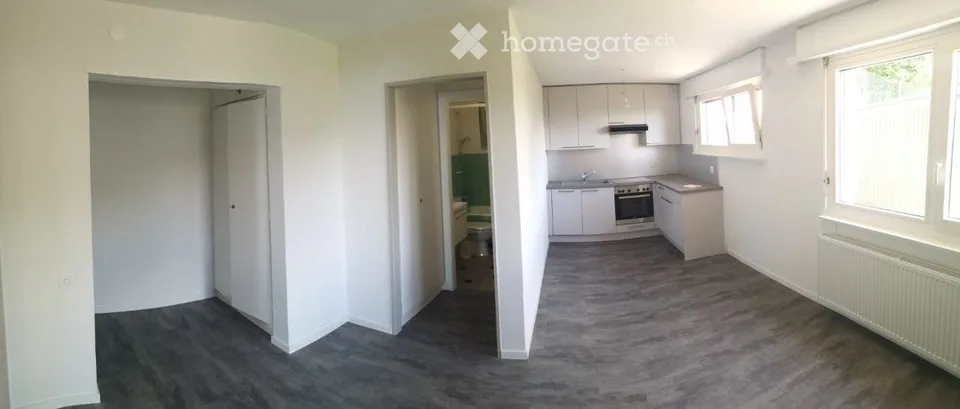 Schönes 2,5-Zimmer-Apartment - hübsche Aussicht auf den See