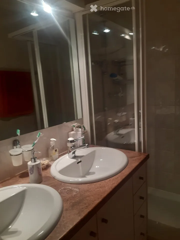 Chambre à louer dans maison à Onex/Genève