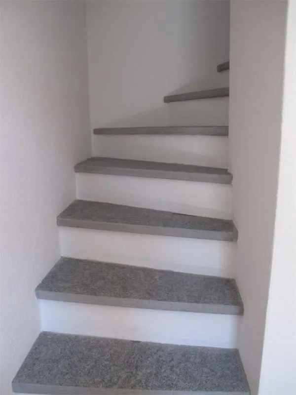 3 1/2 room rustic apartment renovated