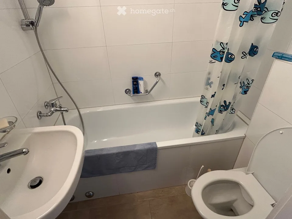 Appartamento di 3 locali accogliente con balcone su Friedensstrasse a Olten