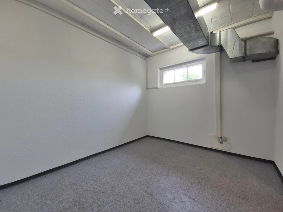 Basement, Craft, Storage Room