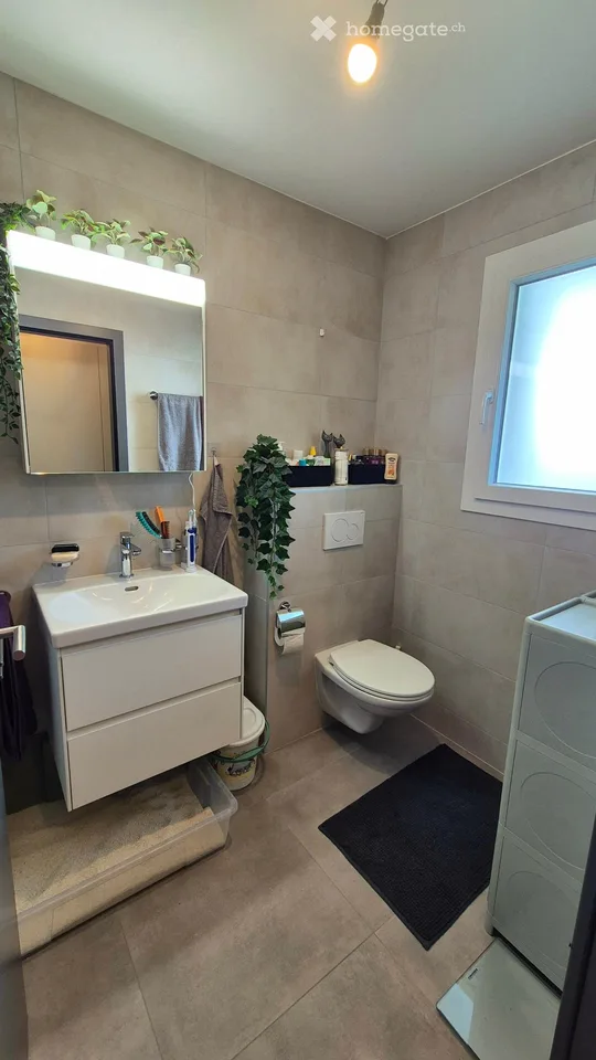 3-room apartment (1 bedroom)