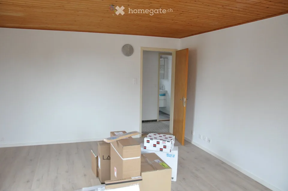 Casa unifamiliare con molto spazio, giardino, garage, casetta da giardino
