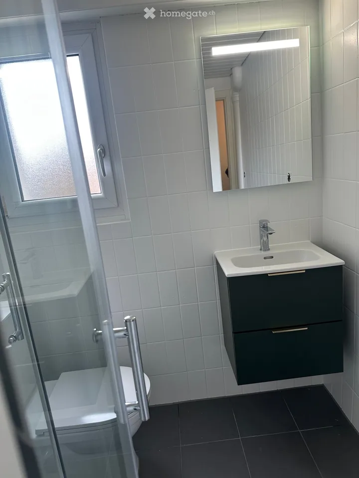 Zu vermieten renoviertes Apartment mit Garten in Mannens