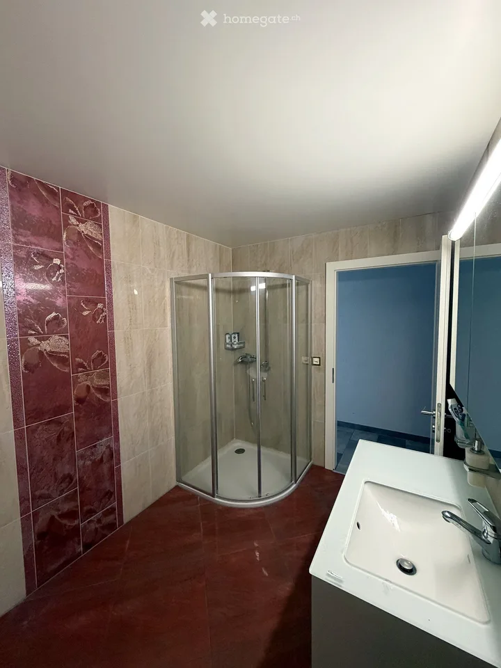4,5 pièces meublé 105 m² - charges + box + place parc inclus