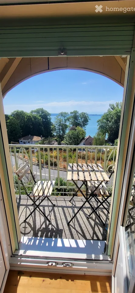 Magnifique appartement sous les toits