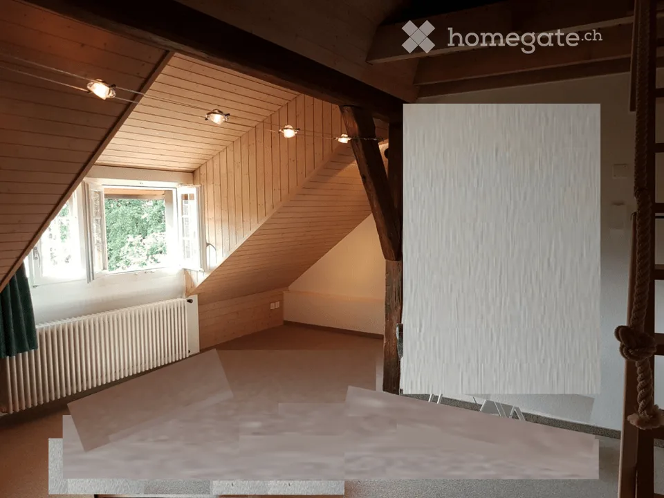 Heimelige neu sanierte Dachwohnung im Herzen der Altstadt Baden