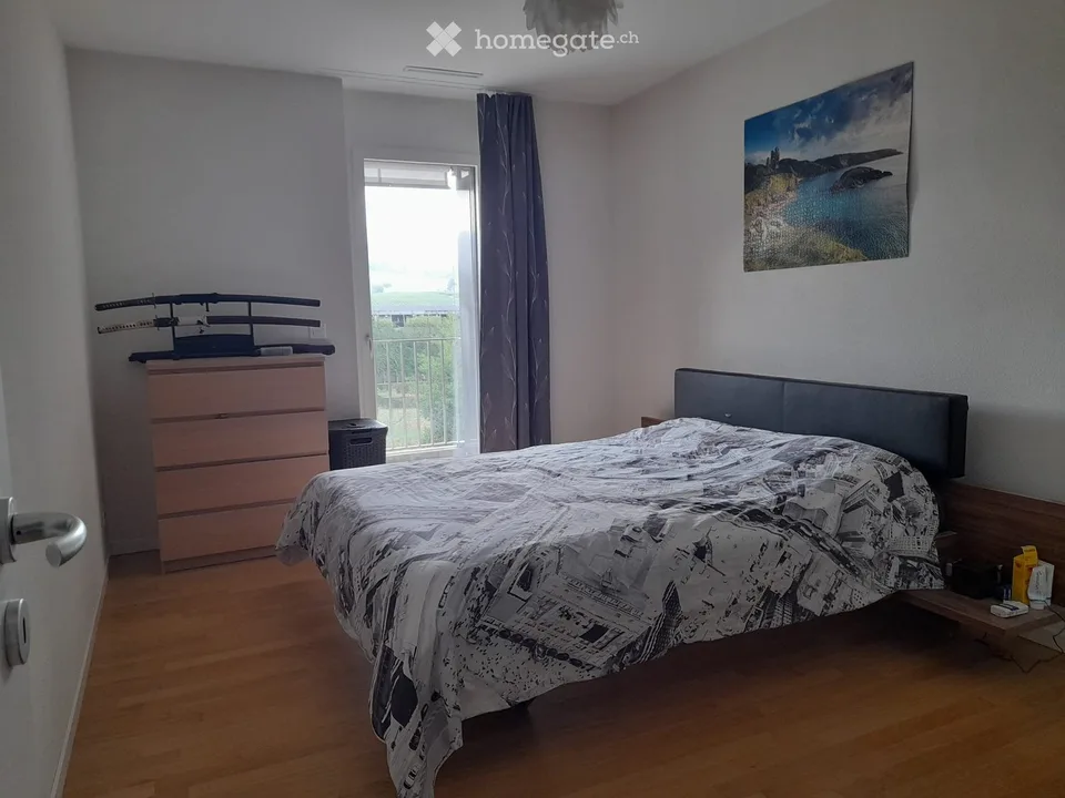 Location d'un magnifique appartement 3.5 pièces