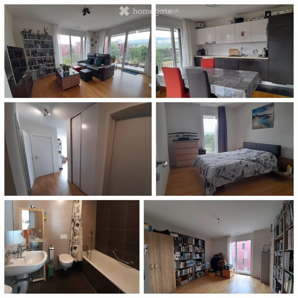 Location d'un magnifique appartement 3.5 pièces
