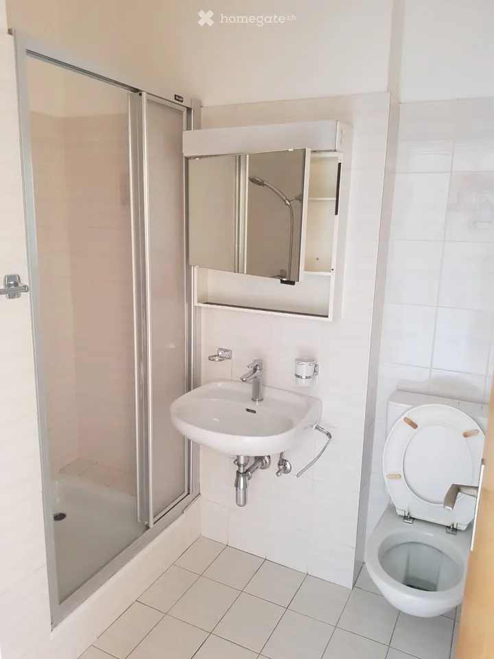 Appartement spacieux près promenade du Rhône