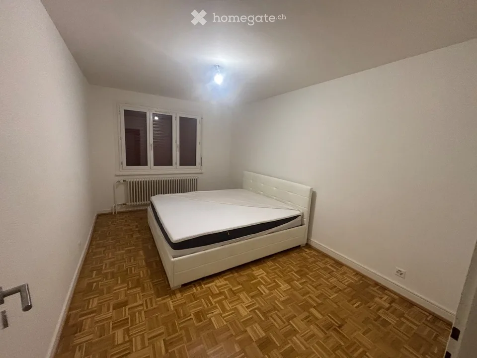 3 rooms bright Meyrin village