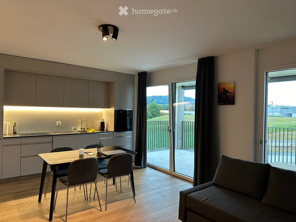 Appartement neuf de 2,5 pièces à Unterentfelden