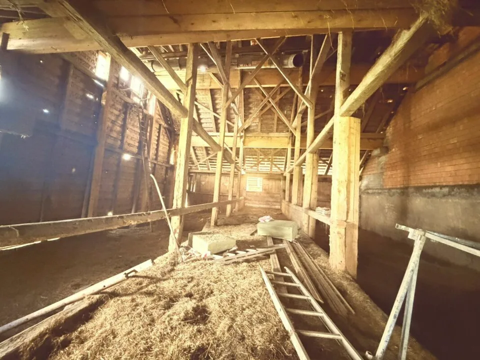 Azienda agricola da ristrutturare con grande potenziale per più appartamenti