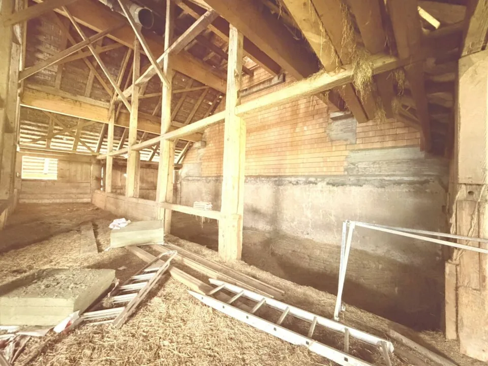 Azienda agricola da ristrutturare con grande potenziale per più appartamenti