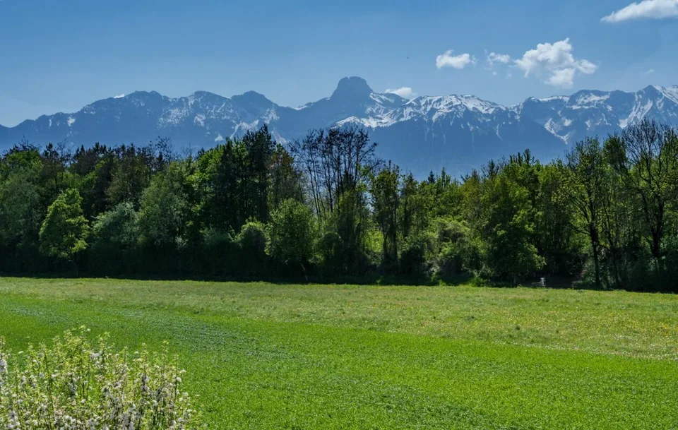 Appartamento speciale con vista sulle Alpi in vendita