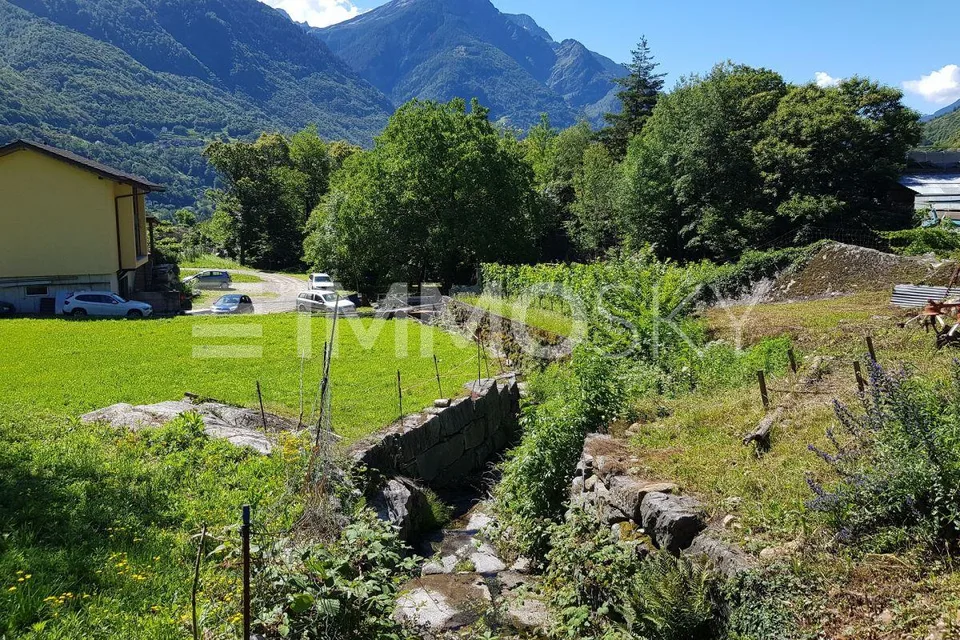 Tra sole e natura