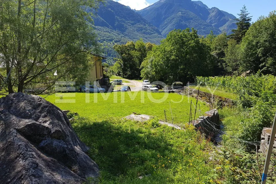 Zwischen Sonne und Natur