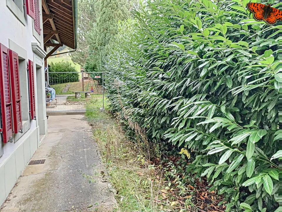 STRASSE - 2½ ZIMMER - Im Erdgeschoss!
