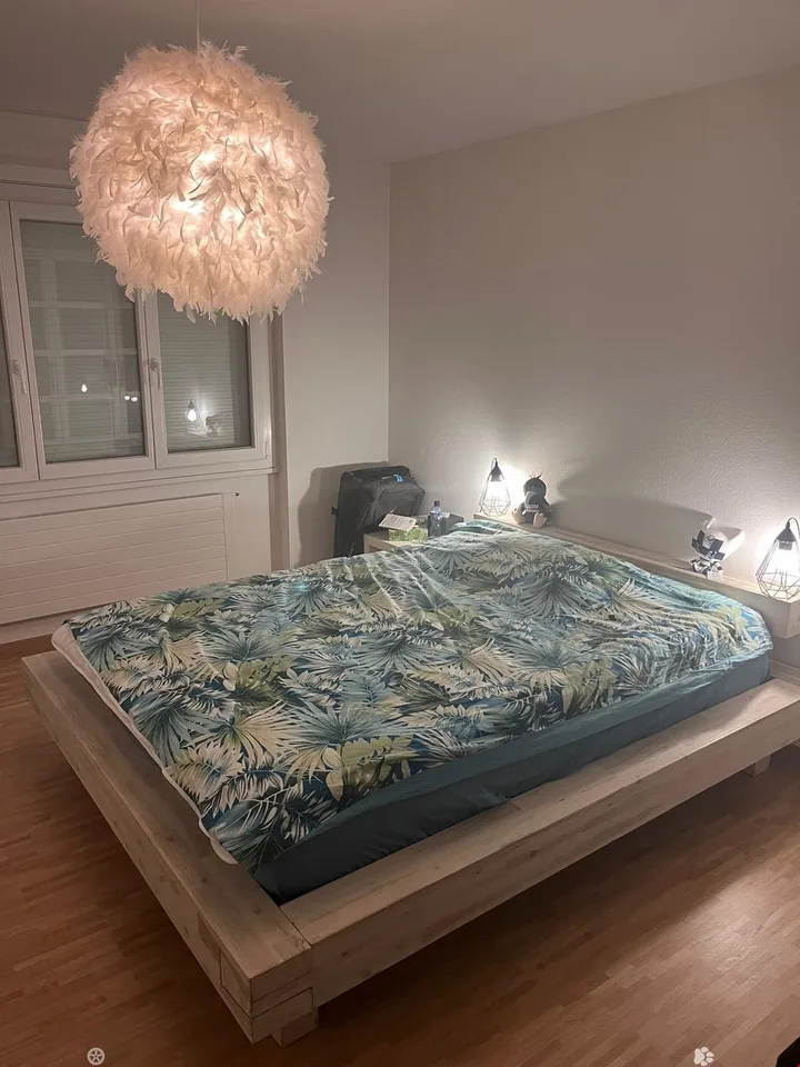 MAGNIFIQUE 3.5 pcs, balcon, vue sur les Alpes, rénové en 2022, état neuf