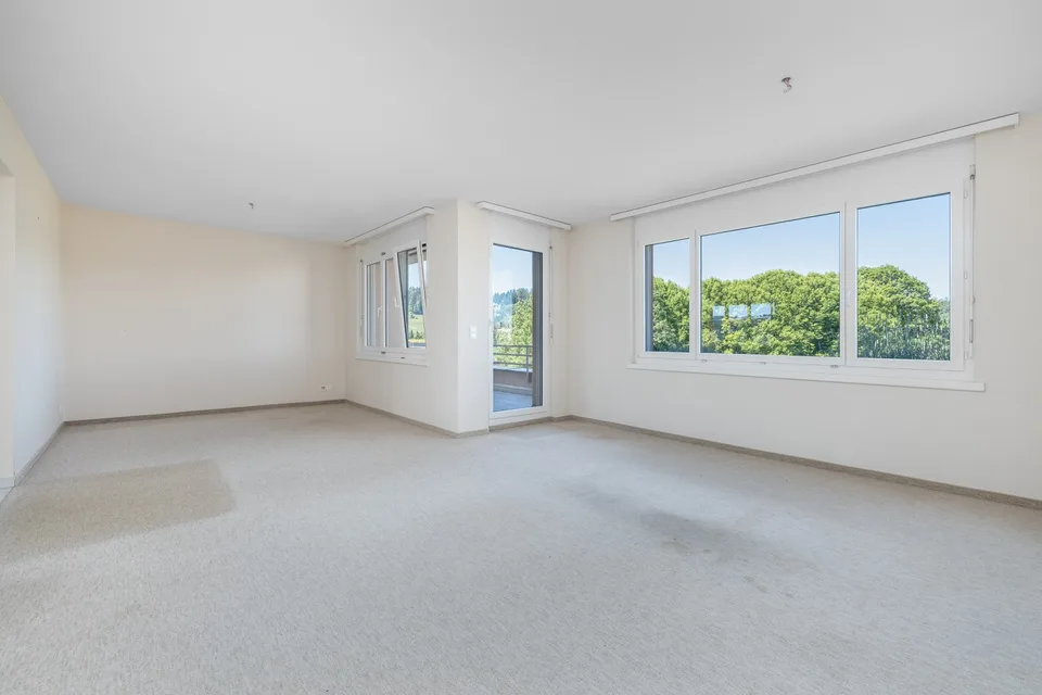 Appartement spacieux en attique à Winterthur-Seen
