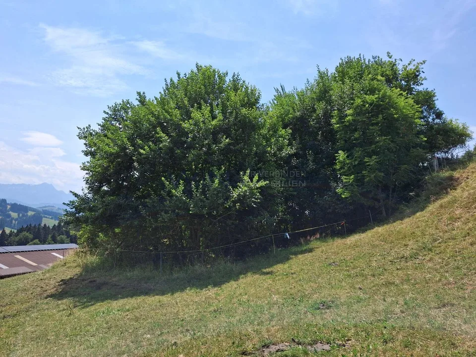 Terreno da sogno in posizione privata elevata