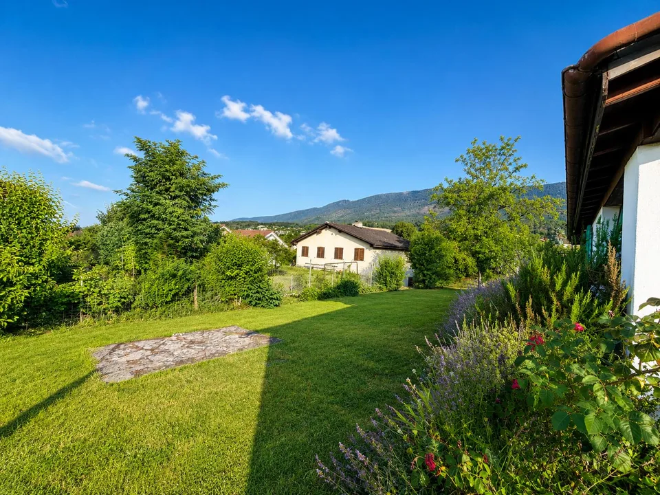 Charming Single House