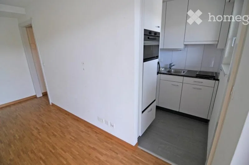 Appartamento accogliente di 1 stanza con balcone e bella vista a Küssnacht am Rigi