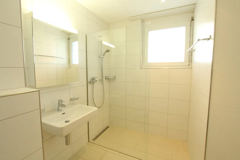 Jolie appartement 3½ pièces à louer