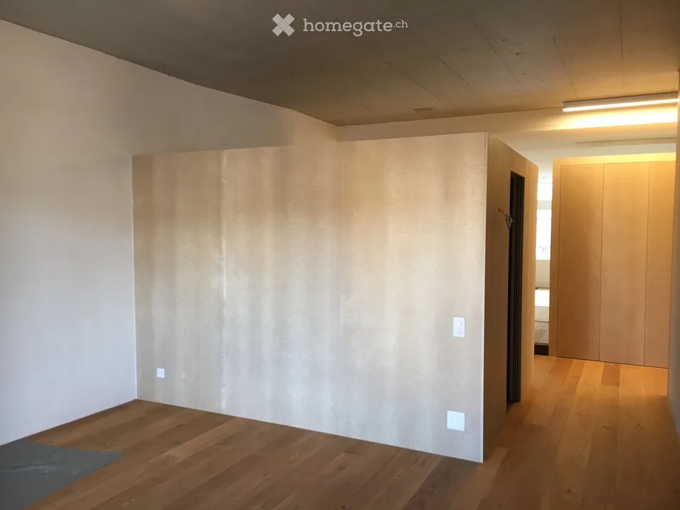 Beautiful 2 1/2 room loft apartment in Mellingen