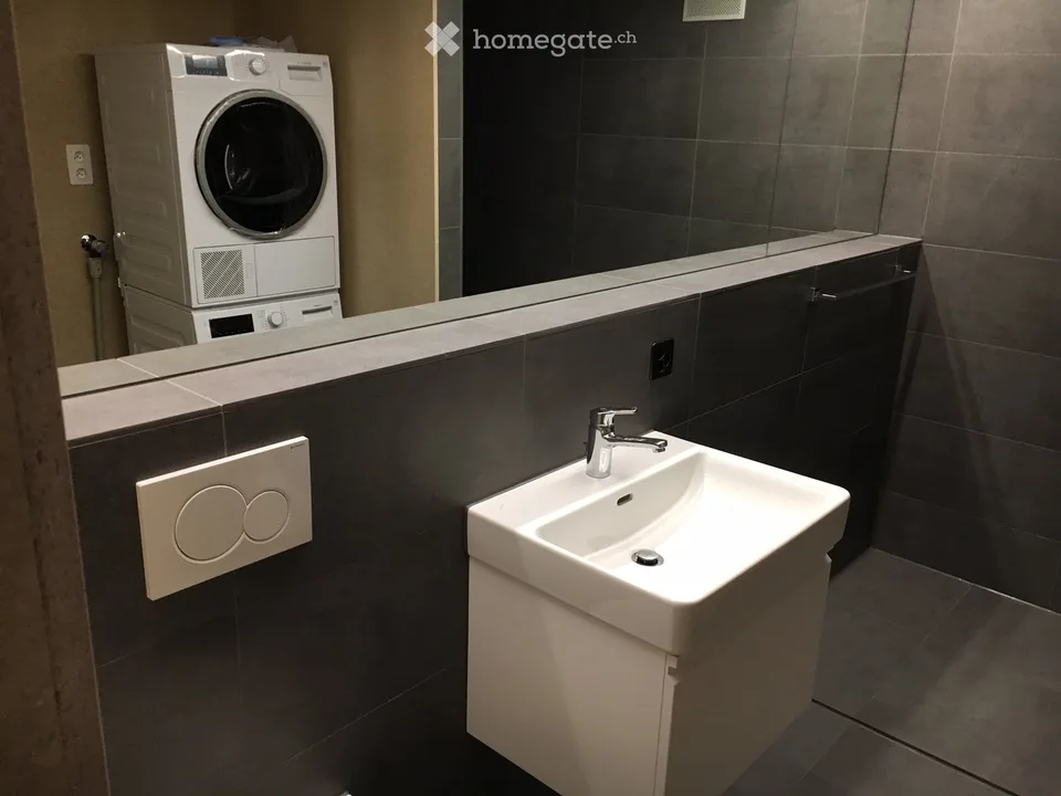 Beautiful 2 1/2 room loft apartment in Mellingen
