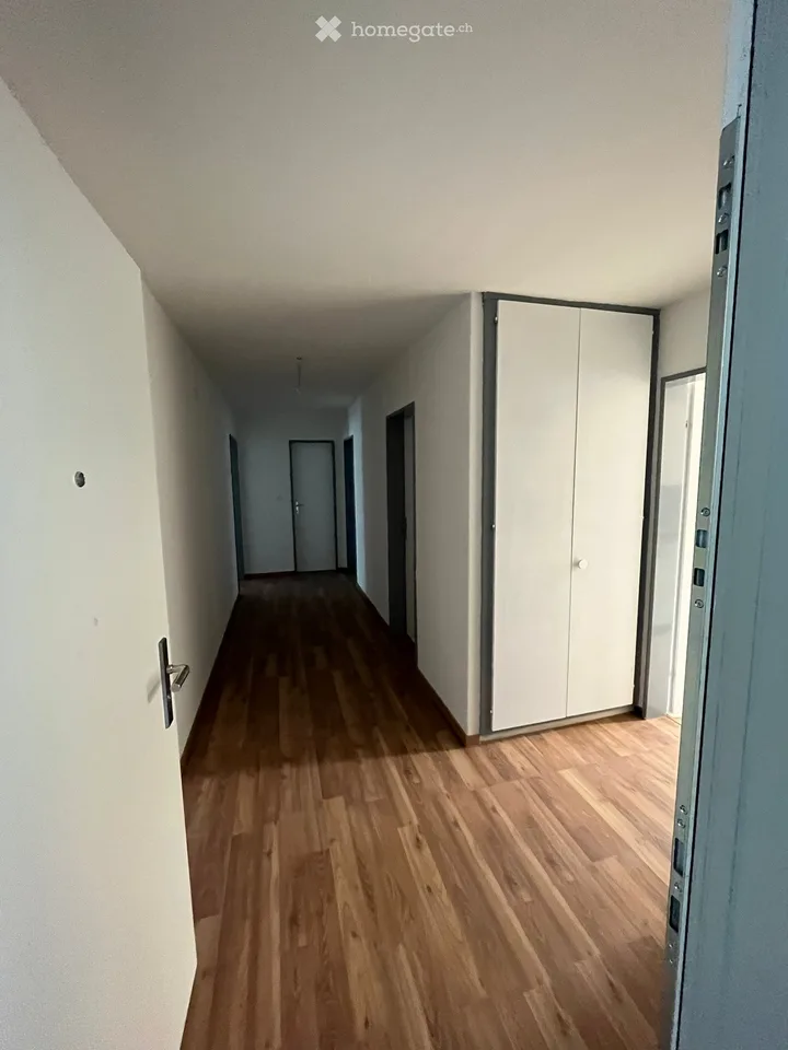 Appartamento 3 locali a Winterthur-Seen