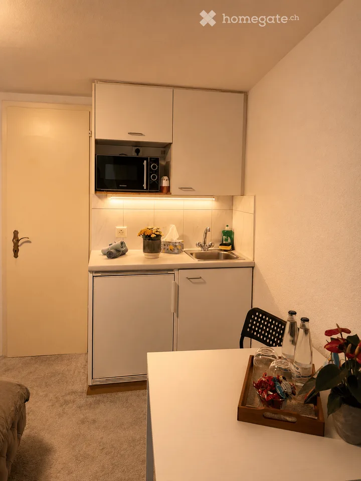Möbliertes 1 Zimmer-Apartment - Kreis 1 Zürich – sofort verfügbar - flexible Konditionen