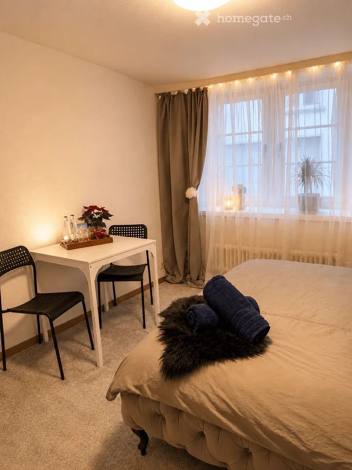 Möbliertes 1 Zimmer-Apartment - Kreis 1 Zürich – sofort verfügbar - flexible Konditionen