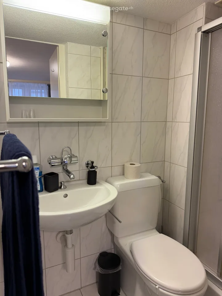 Möbliertes 1 Zimmer-Apartment - Kreis 1 Zürich – sofort verfügbar - flexible Konditionen