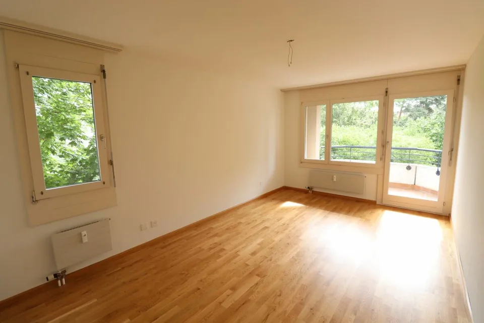 Nähe Morgartenring und Schützenmattpark - Gemütliche 3 1/2 Zimmer-Wohnung in Allschwil