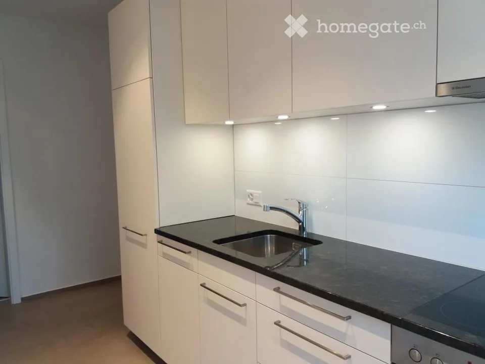 Charmante sonnige 3-Zimmer-Wohnung an zentraler Lage in Olten