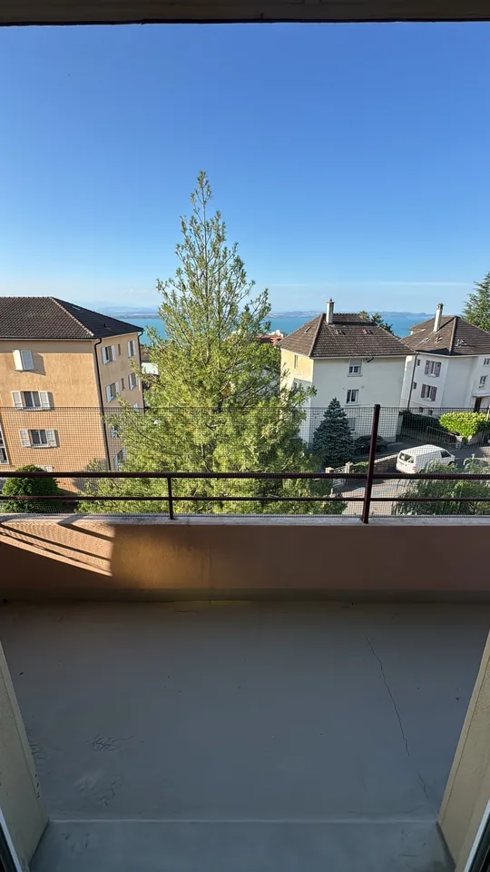 Bel appartement de 3,5 pièces situé au 4ème étage avec balcon vue s...