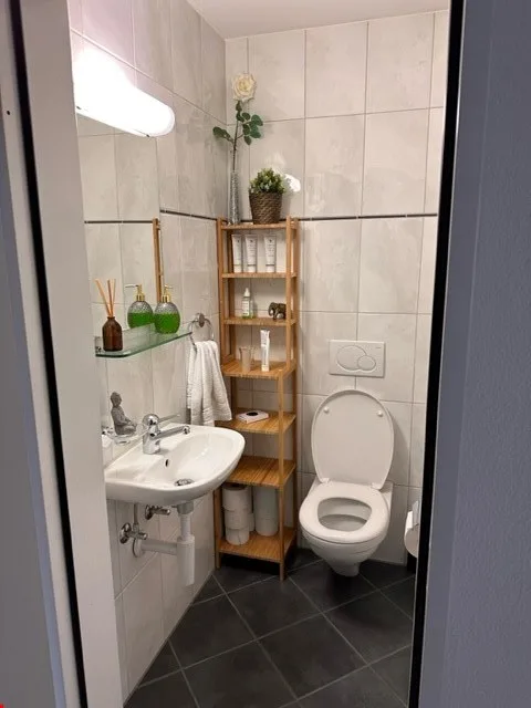 Habiter au bord de la Reuss avec terrasse