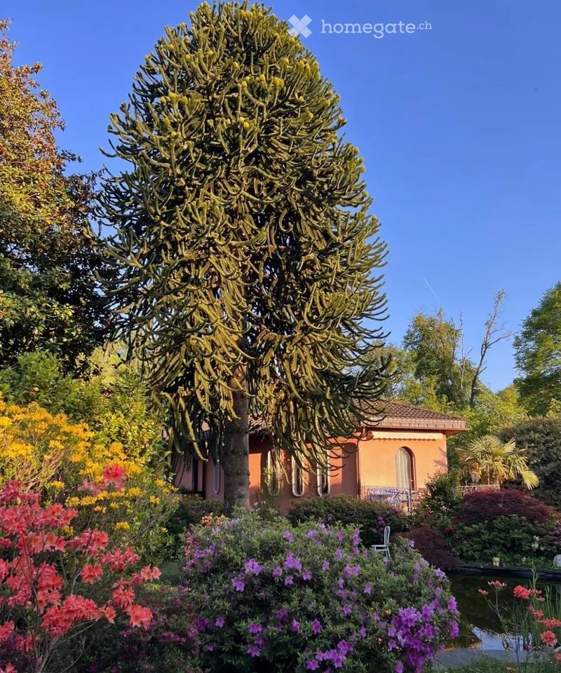 Gartenvilla mit Waldstück und Innenpool